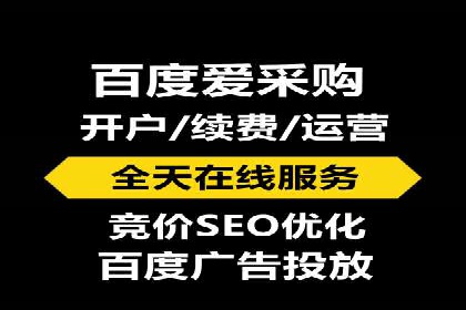 竞价推广中的着陆页策略：成功案例解读