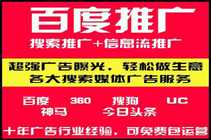 某电商平台SEM竞价广告的转化率提升案例